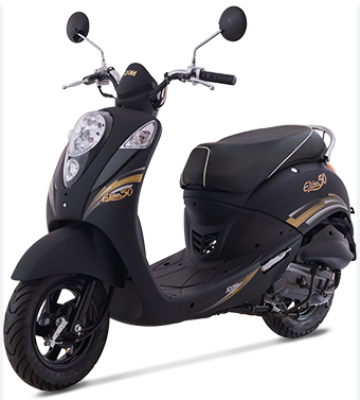 XE GA SYM ELITE 50CC SƠN NHÁM